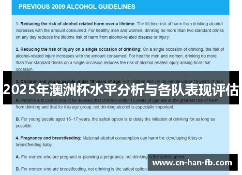 2025年澳洲杯水平分析与各队表现评估