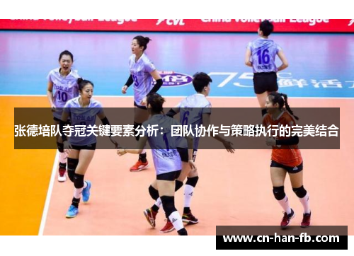 张德培队夺冠关键要素分析:团队协作与策略执行的完美结合 张德培队夺冠关键要素分析:团队协作与策略执行的完美结合