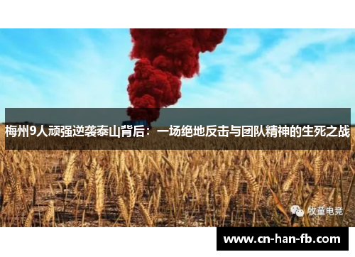 梅州9人顽强逆袭泰山背后:一场绝地反击与团队精神的生死之战 梅州9人顽强逆袭泰山背后:一场绝地反击与团队精神的生死之战